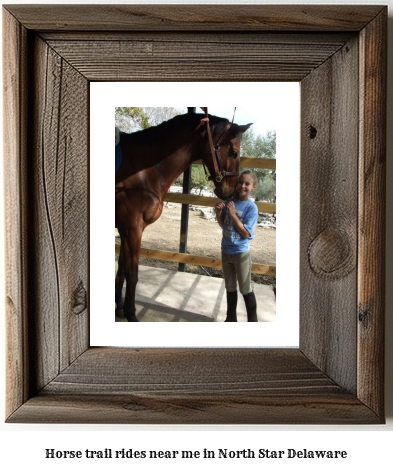 horse trail rides near me in North Star, Delaware